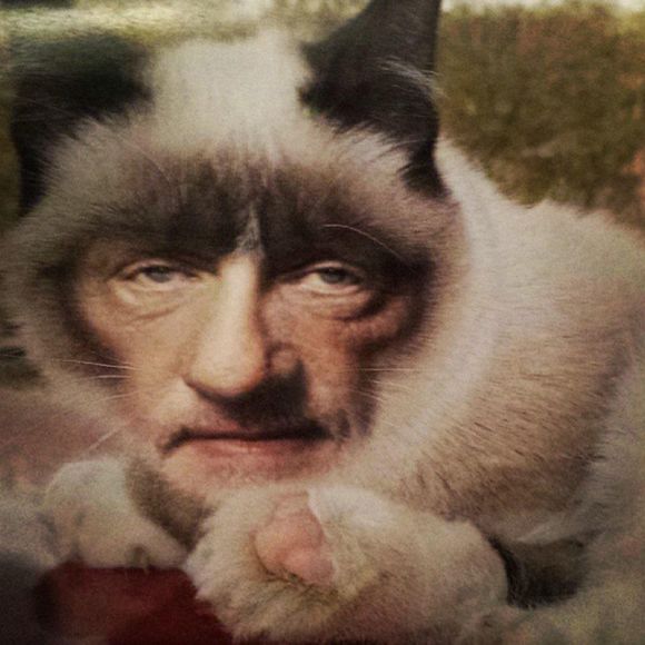 Meet your Posher, Micah - Picture 1 of 1